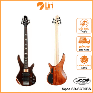 Sqoe SB-SCT5BS