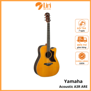 Đàn Guitar Acoustic Yamaha A3R ARE