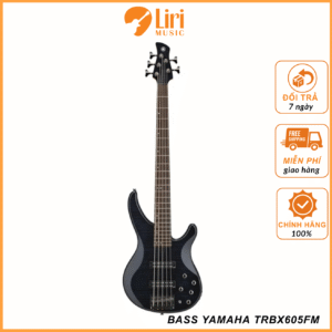 Đàn Guitar Bass Yamaha TRBX605FM - TRBX Series HH, Rosewood Fingerboard - 5 Strings