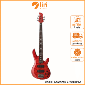 Đàn Guitar Bass Yamaha TRB1005J - TRB Series SS, Rosewood Fingerboard - 5 Strings