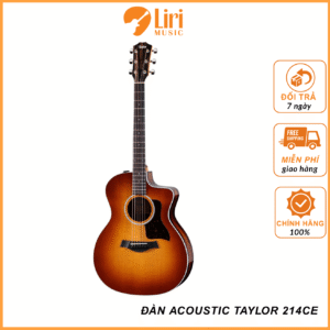 Đàn Acoustic Taylor 214CE African Ziricote Plus Special Edition