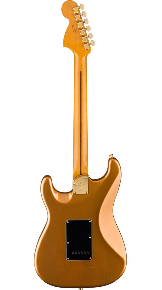 dan-fender-dien-lunghong29072024