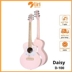 Đàn Guitar Acoustic Daisy D-100
