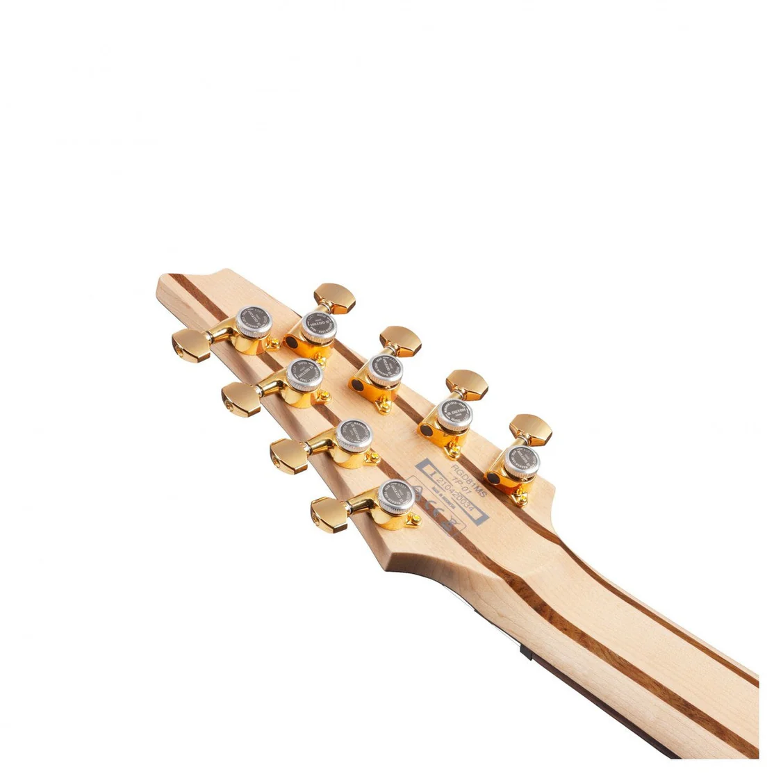 Ibanez Axion Label RGDMS8 (2)