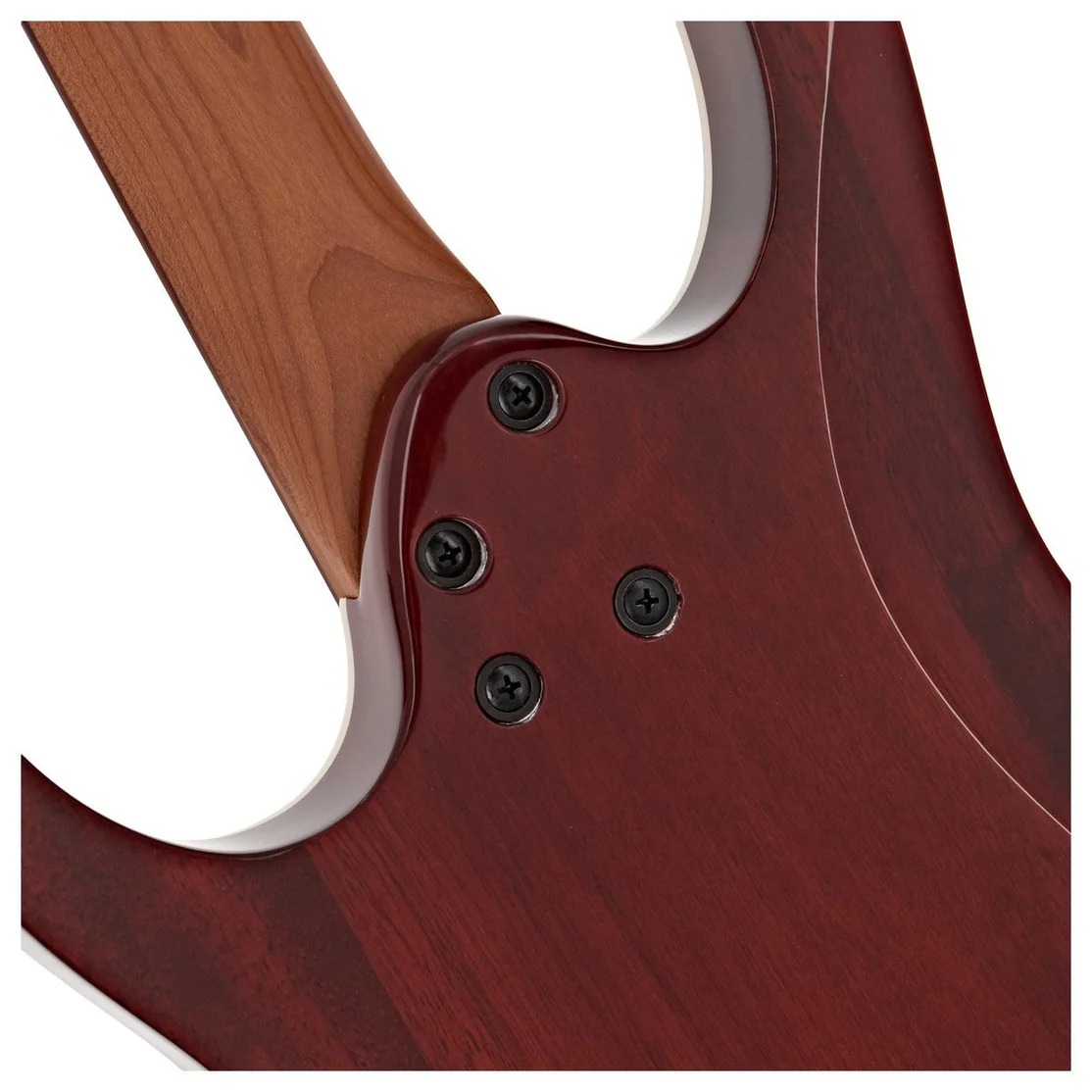 Ibanez RG Standard RG421HPAH (2)