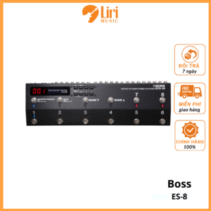 Boss ES8