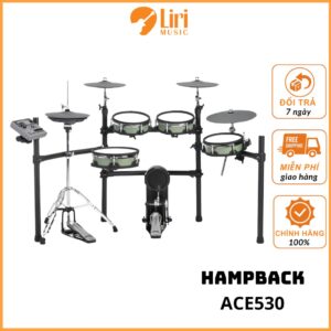 Trống Điện Tử Hampback ACE530 Cao Cấp Chính Hãng | LIRI music