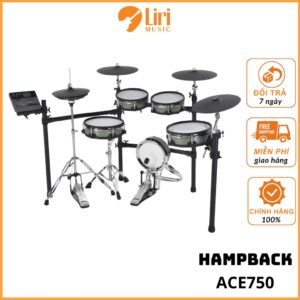 Trống Điện Tử Hampback ACE750 Cao Cấp Chính Hãng | LIRI music